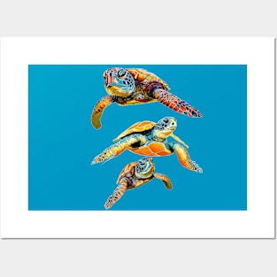 Beautiful Colorful Sea Turtles Posters and Art